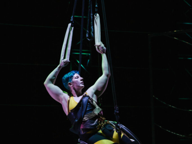 Laurel Lawson balances angularly on one wheel, muscular arms bend above her head, hands gripping loops and cables. Laurel is a white person with cropped teal hair, they wear a yellow, black and gold bodysuit. Their eyes closed and their chin lifted majestically.